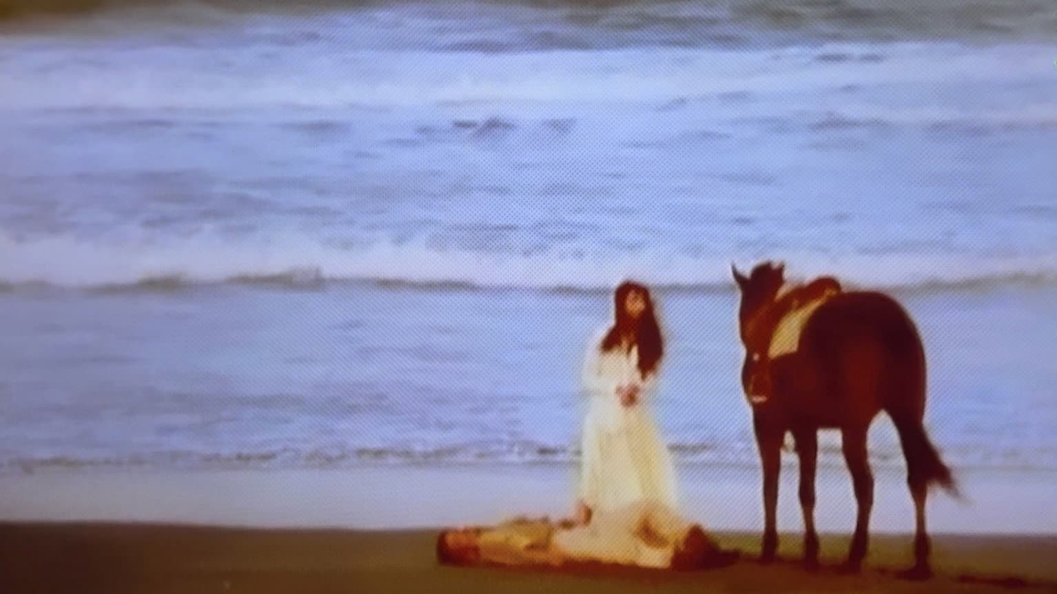 Horse, Woman, Dog - immagine