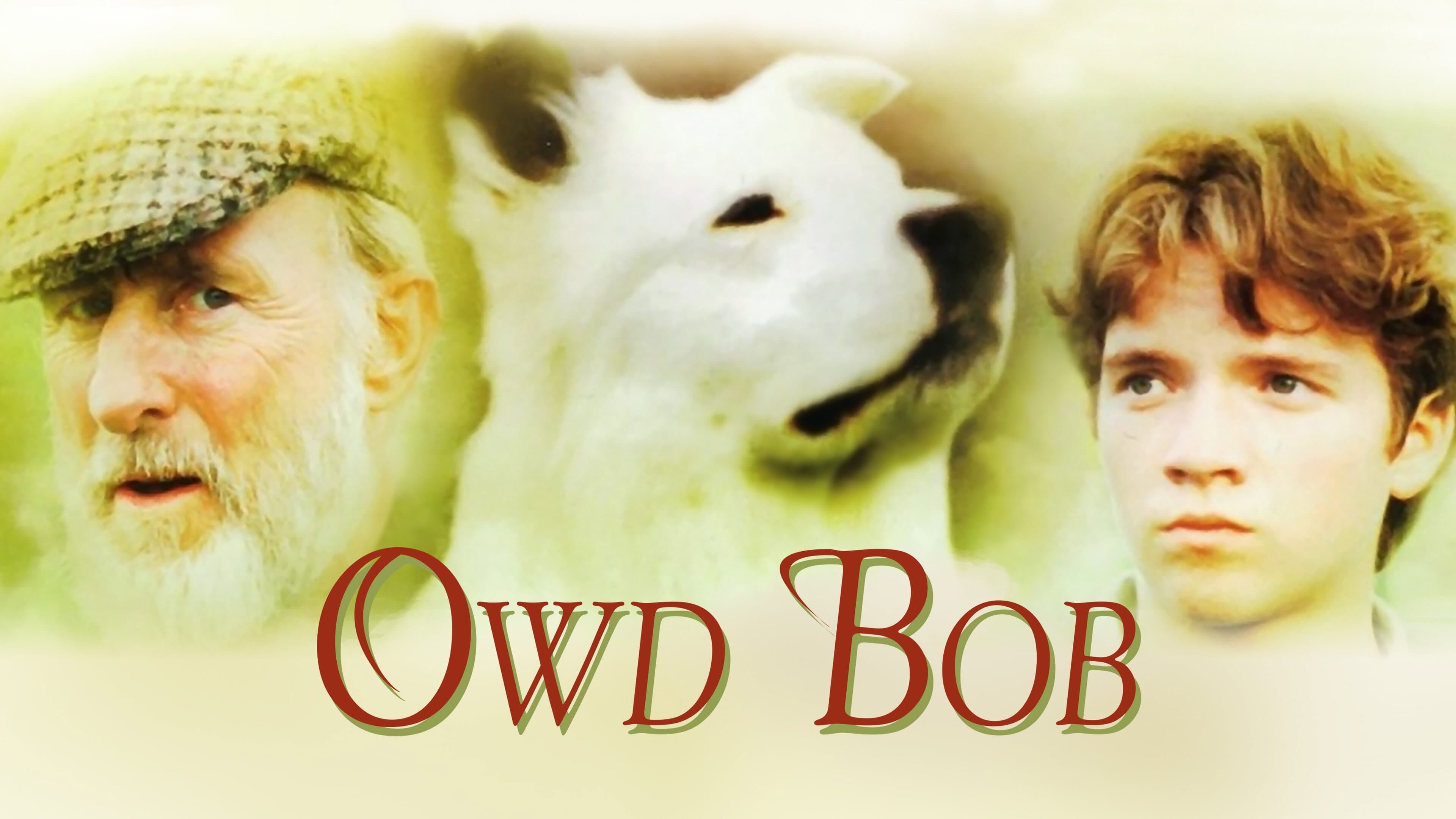 Owd Bob - immagine