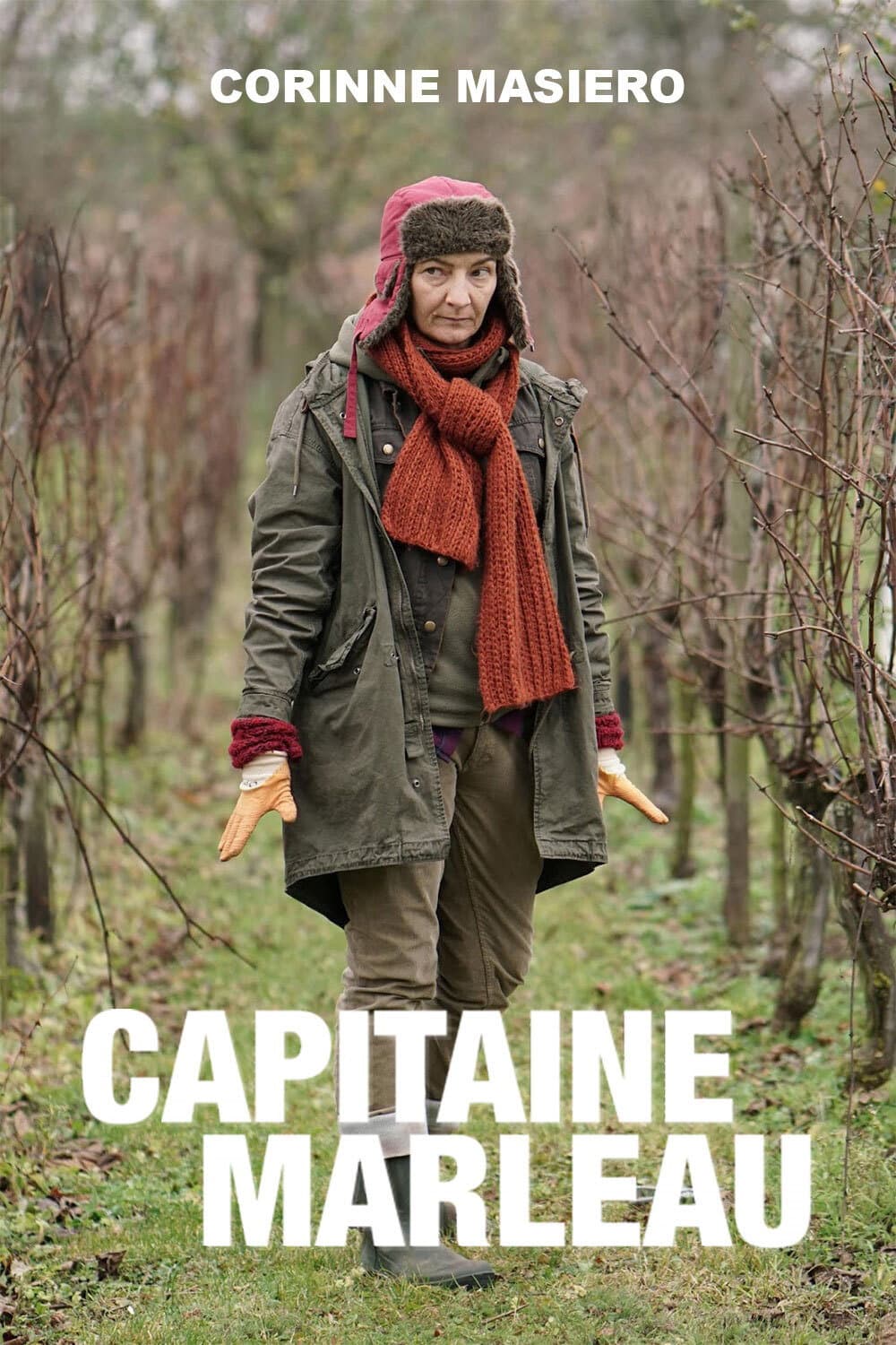 Poster di Capitaine Marleau