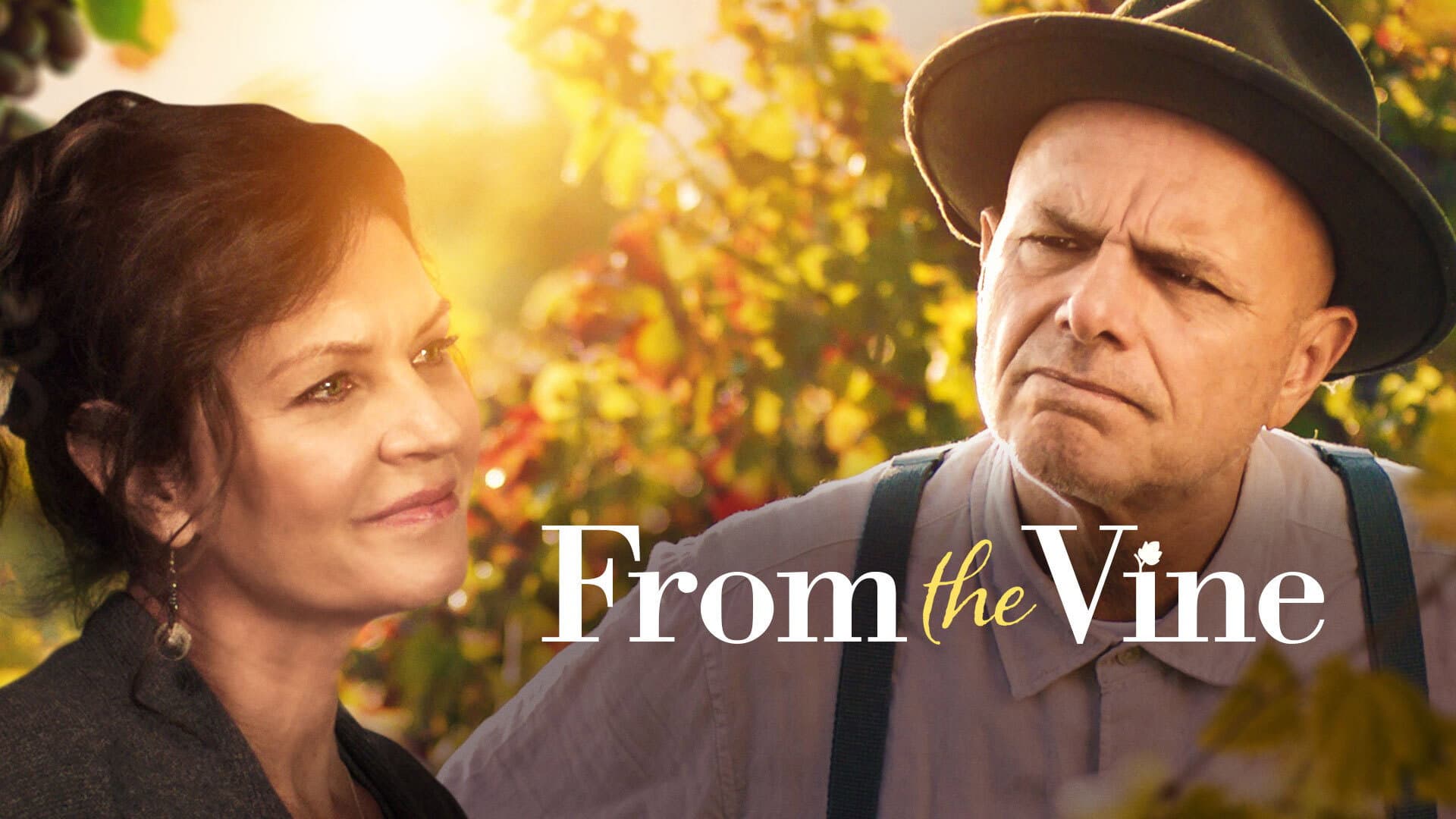 From the Vine - immagine