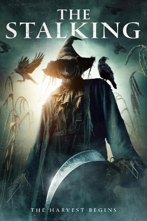 Poster di The Stalking