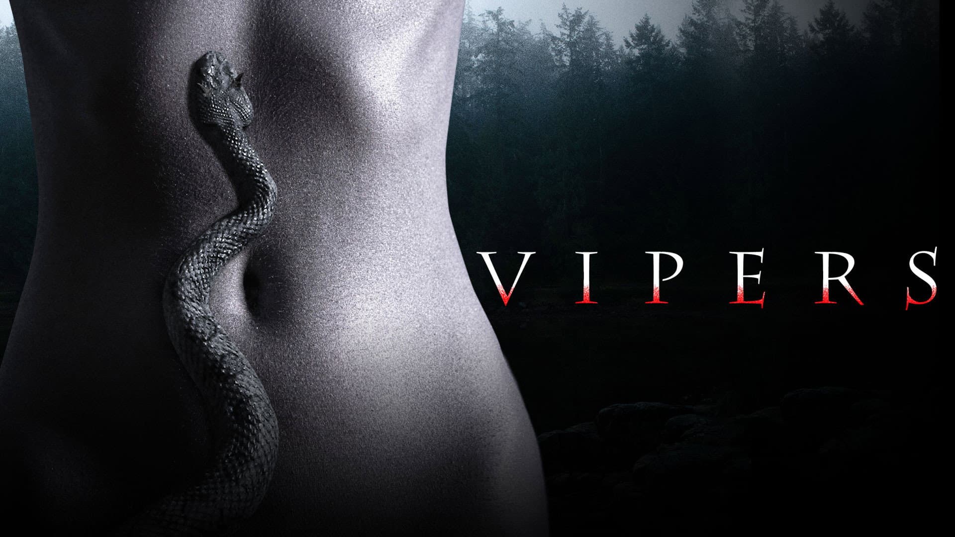 Vipers - immagine
