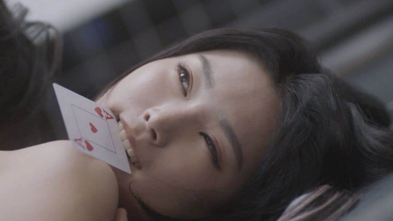 홀덤킹 : 에어라인 - immagine