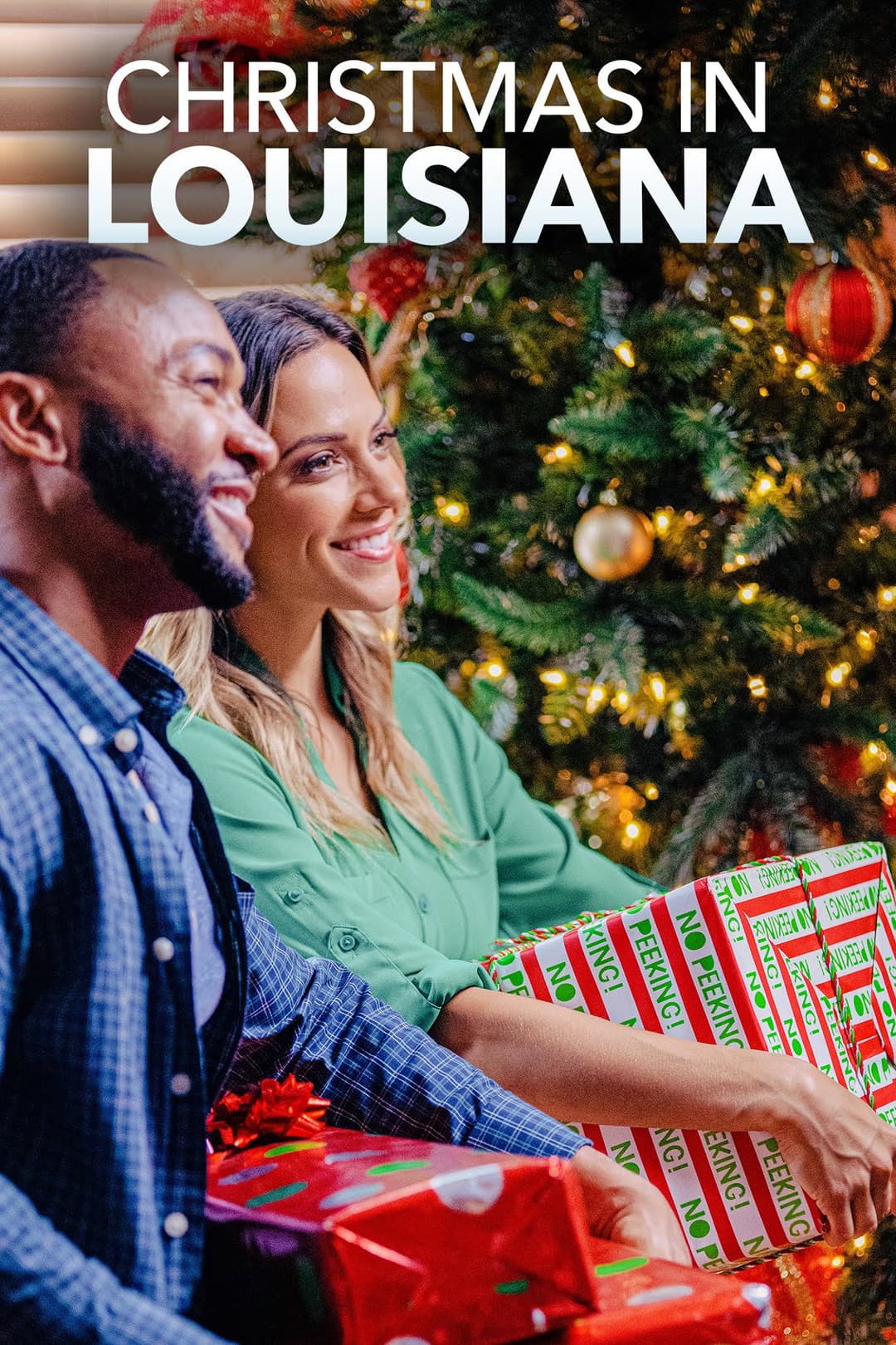 Poster di Christmas in Louisiana