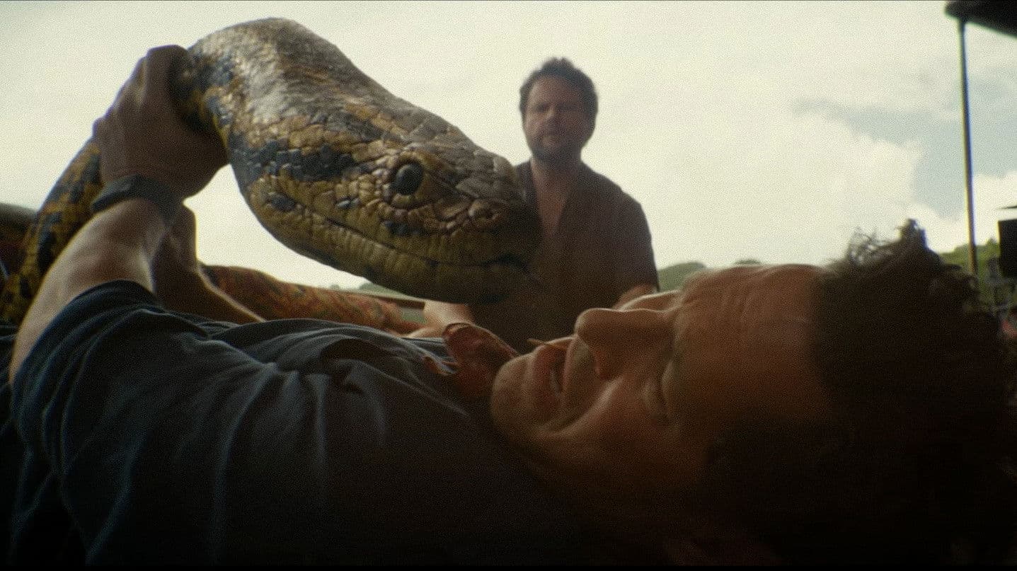 Anaconda - immagine