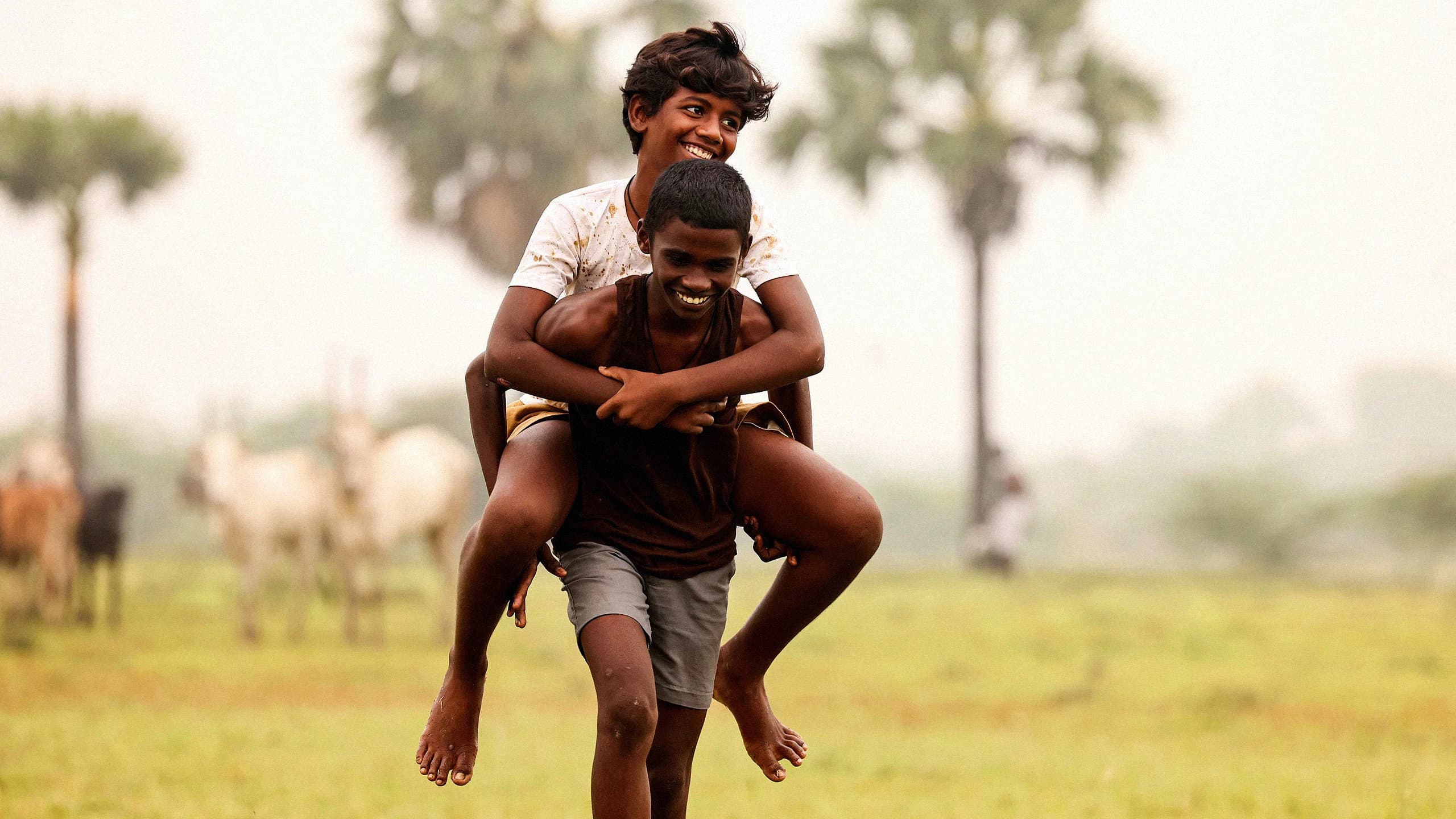வாழை - immagine