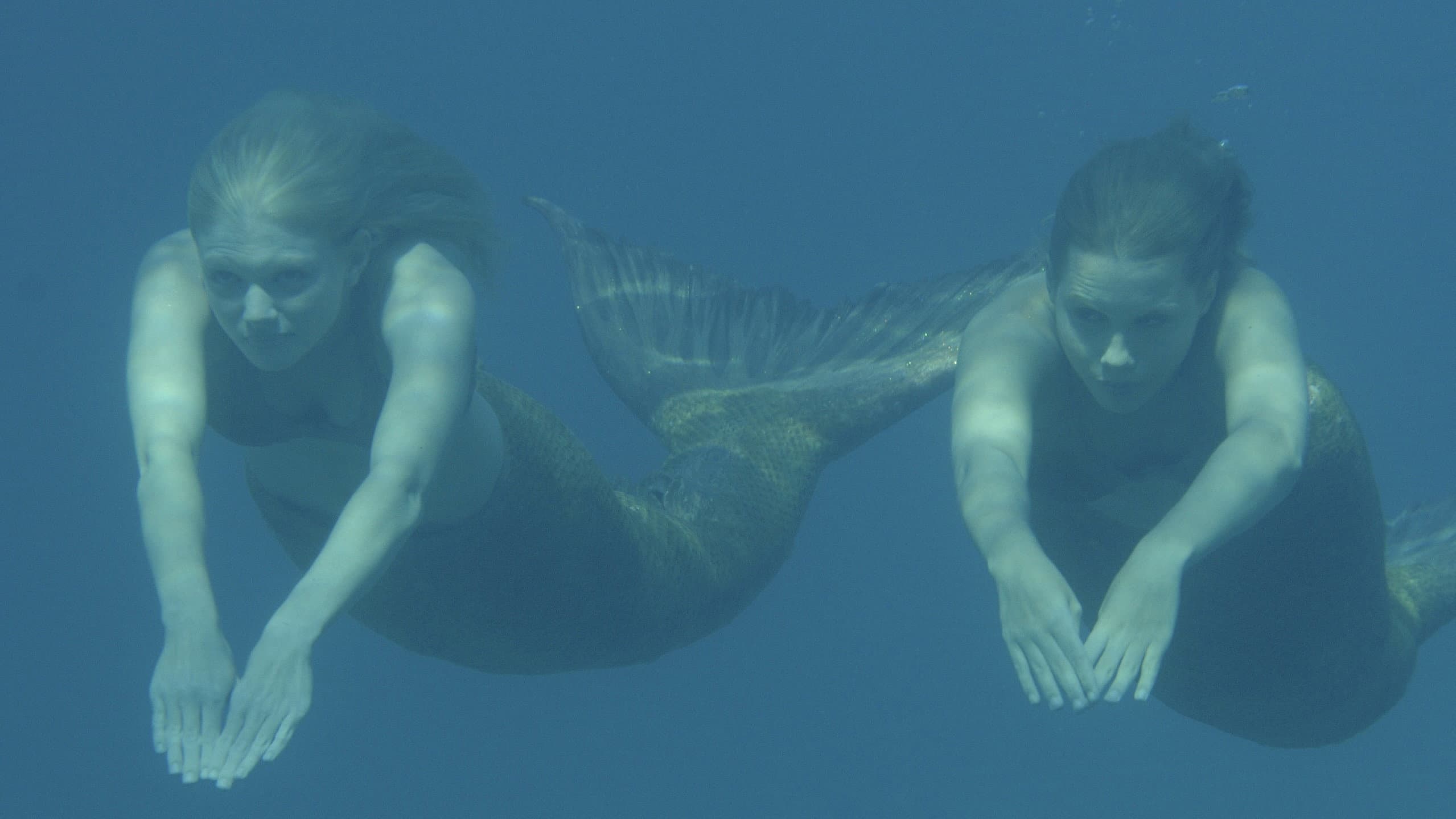 H2O: Just Add Water: Metamorphosis - immagine