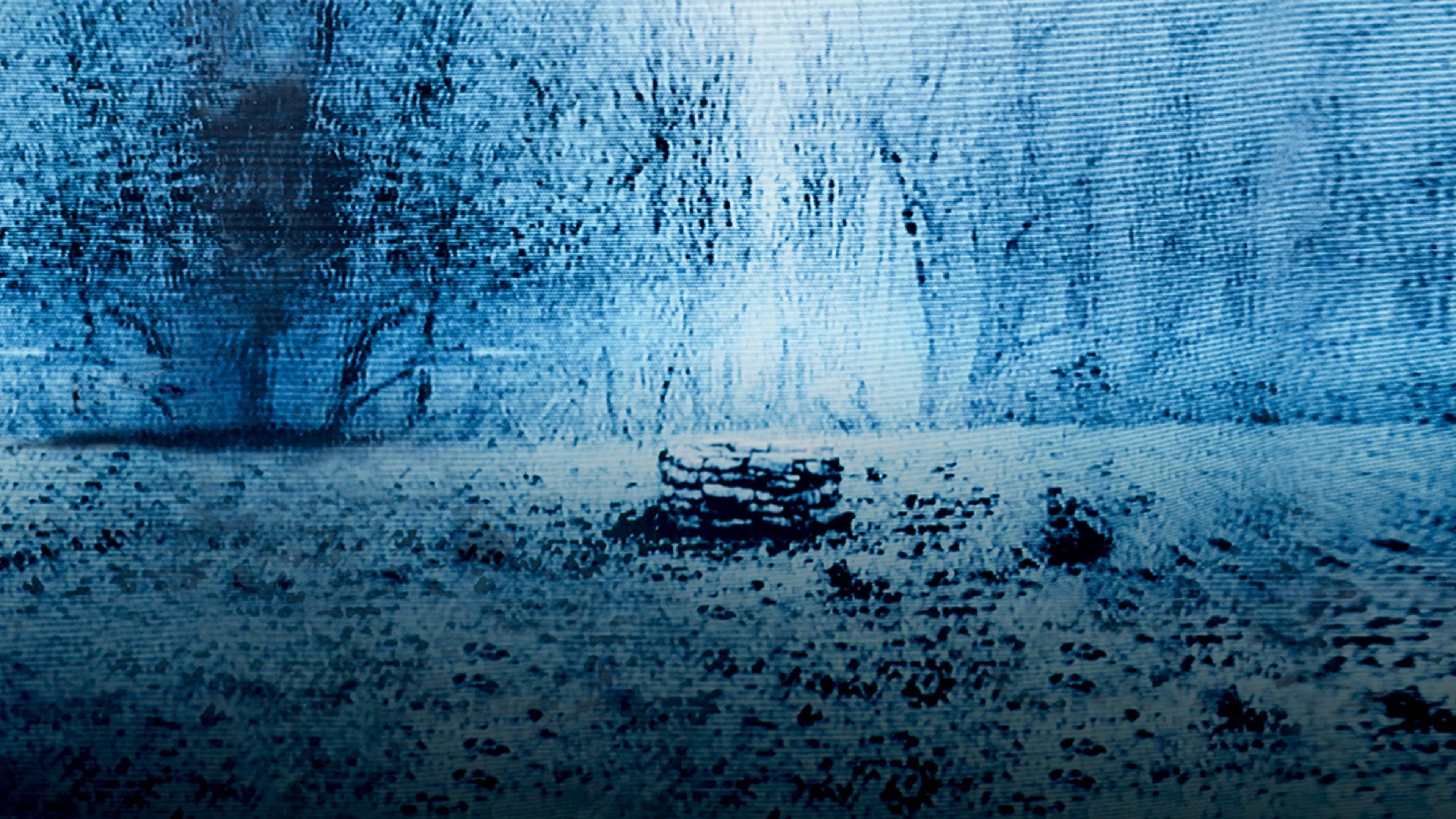 The Ring - immagine