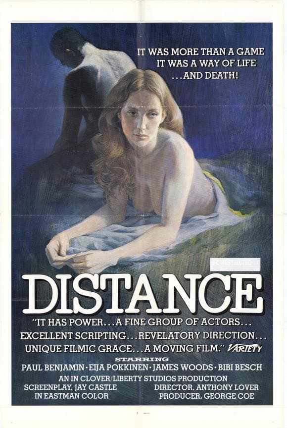 Poster di Distance