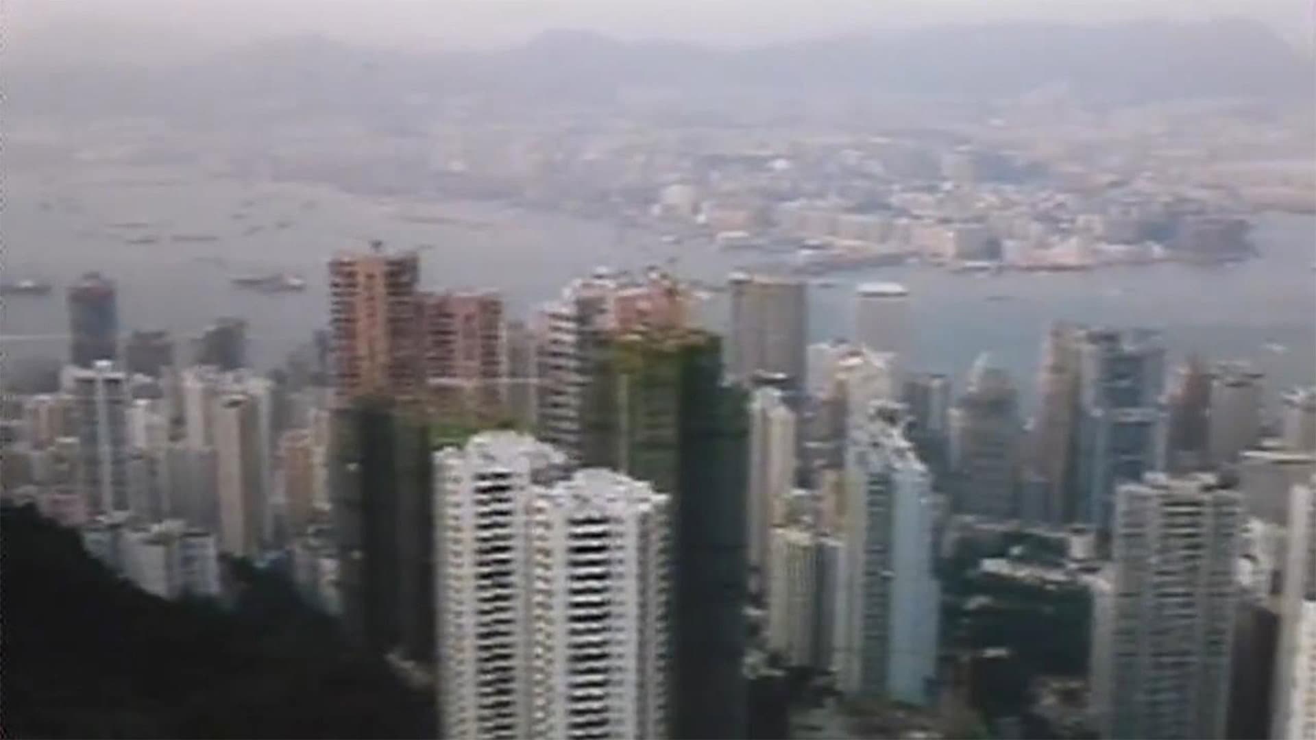 省港流鶯 - immagine
