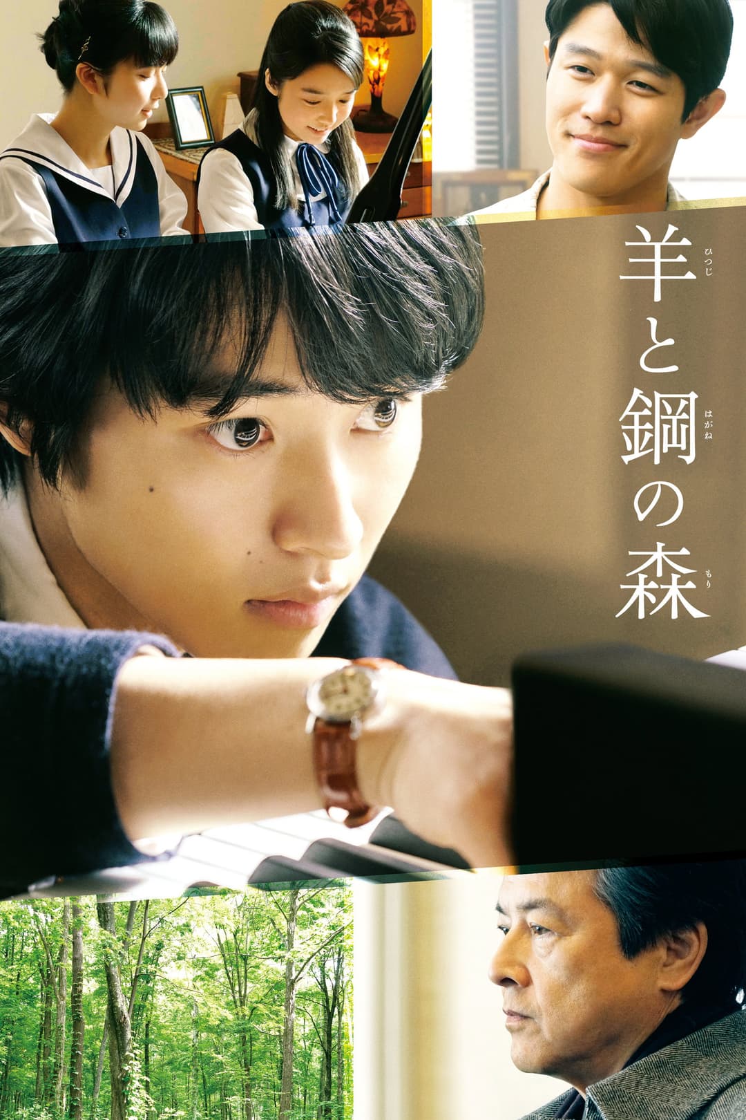 Poster di 羊と鋼の森