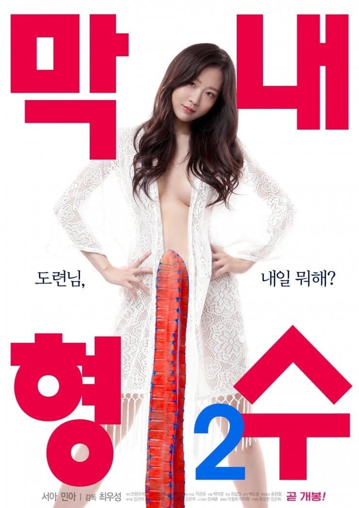 Poster di 막내 형수 2