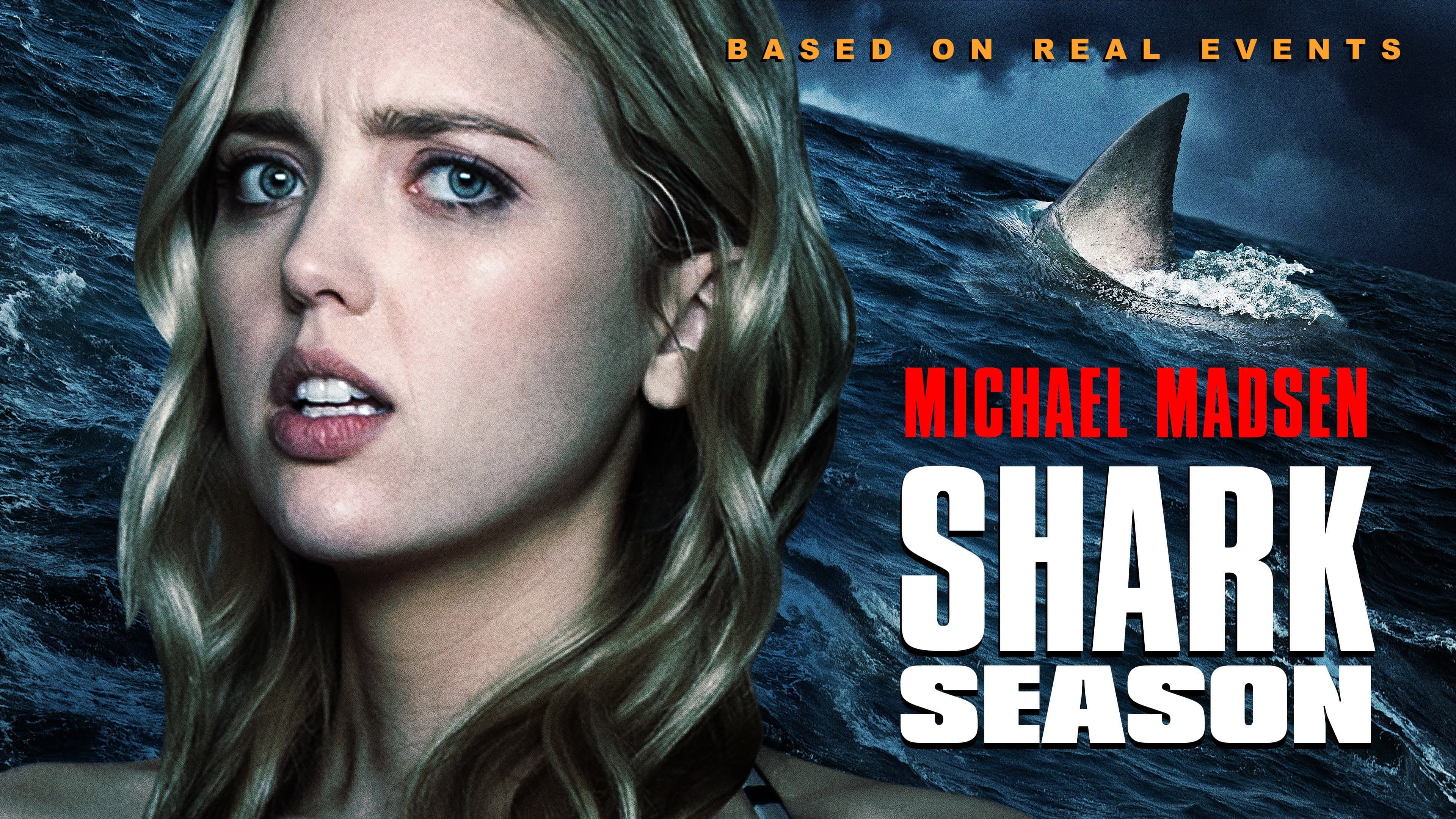 Shark Season - immagine