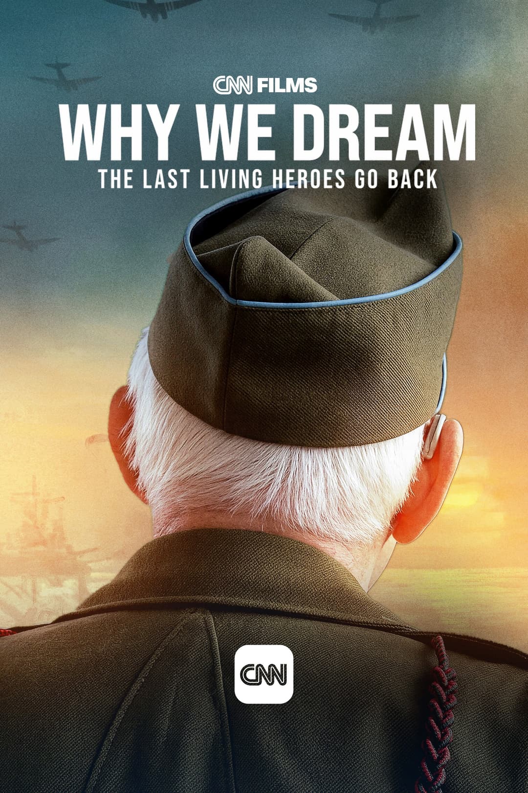 Poster di Why We Dream