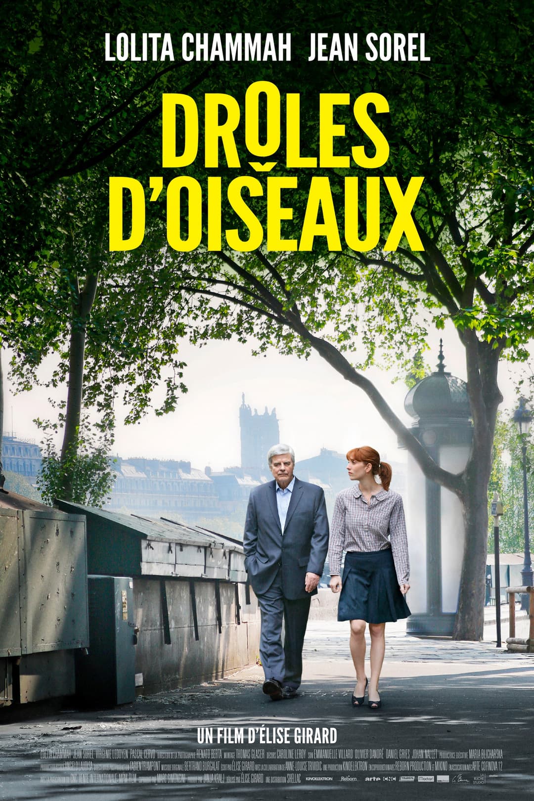 Poster di Drôles d'oiseaux