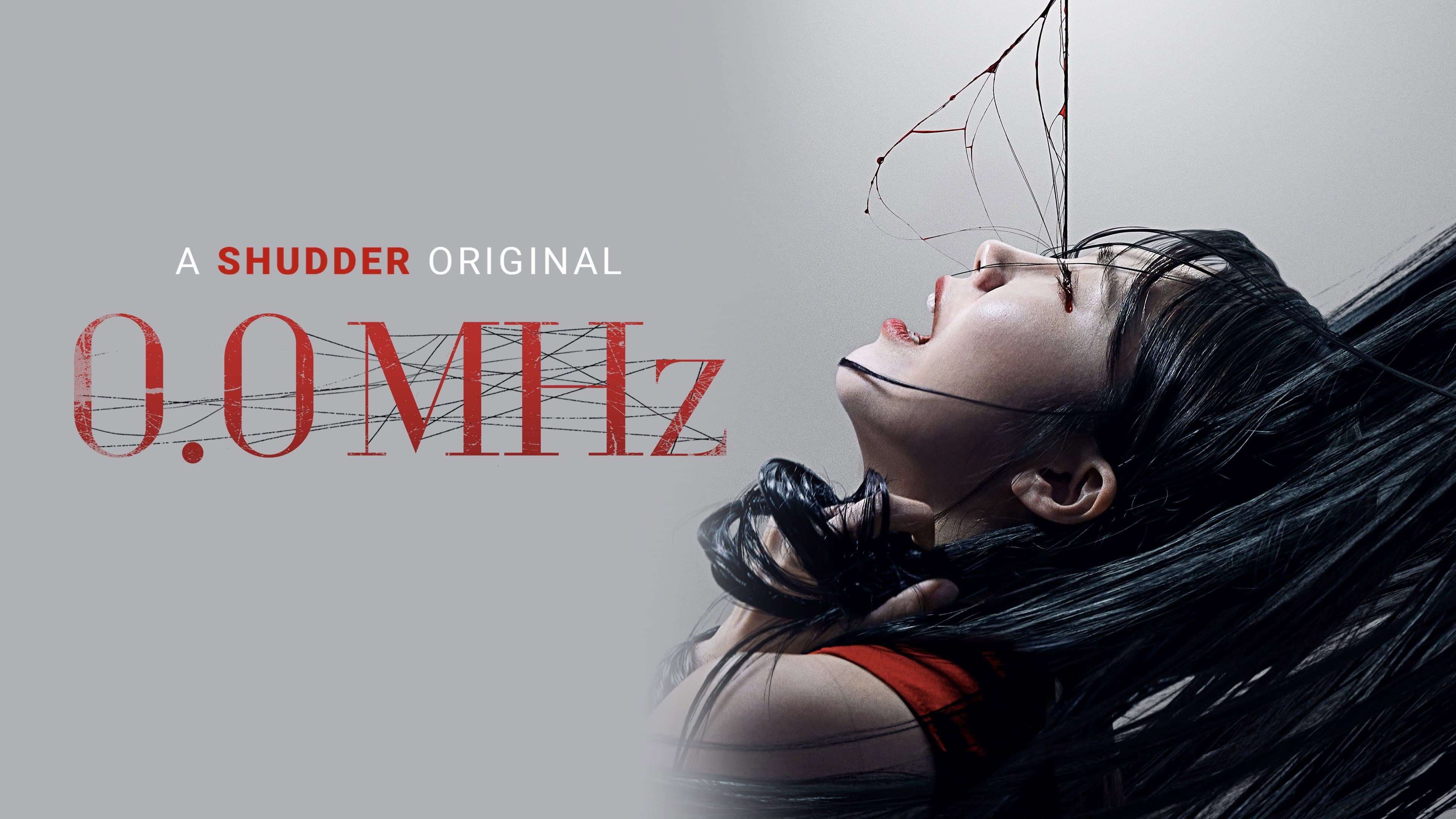 0.0MHz - immagine