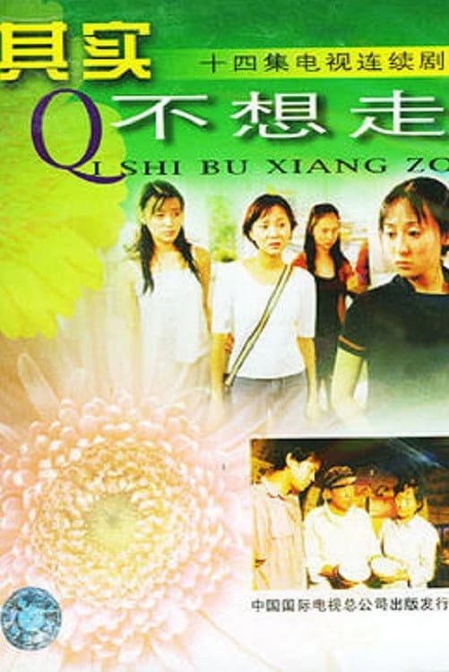 Poster di 其实不想走