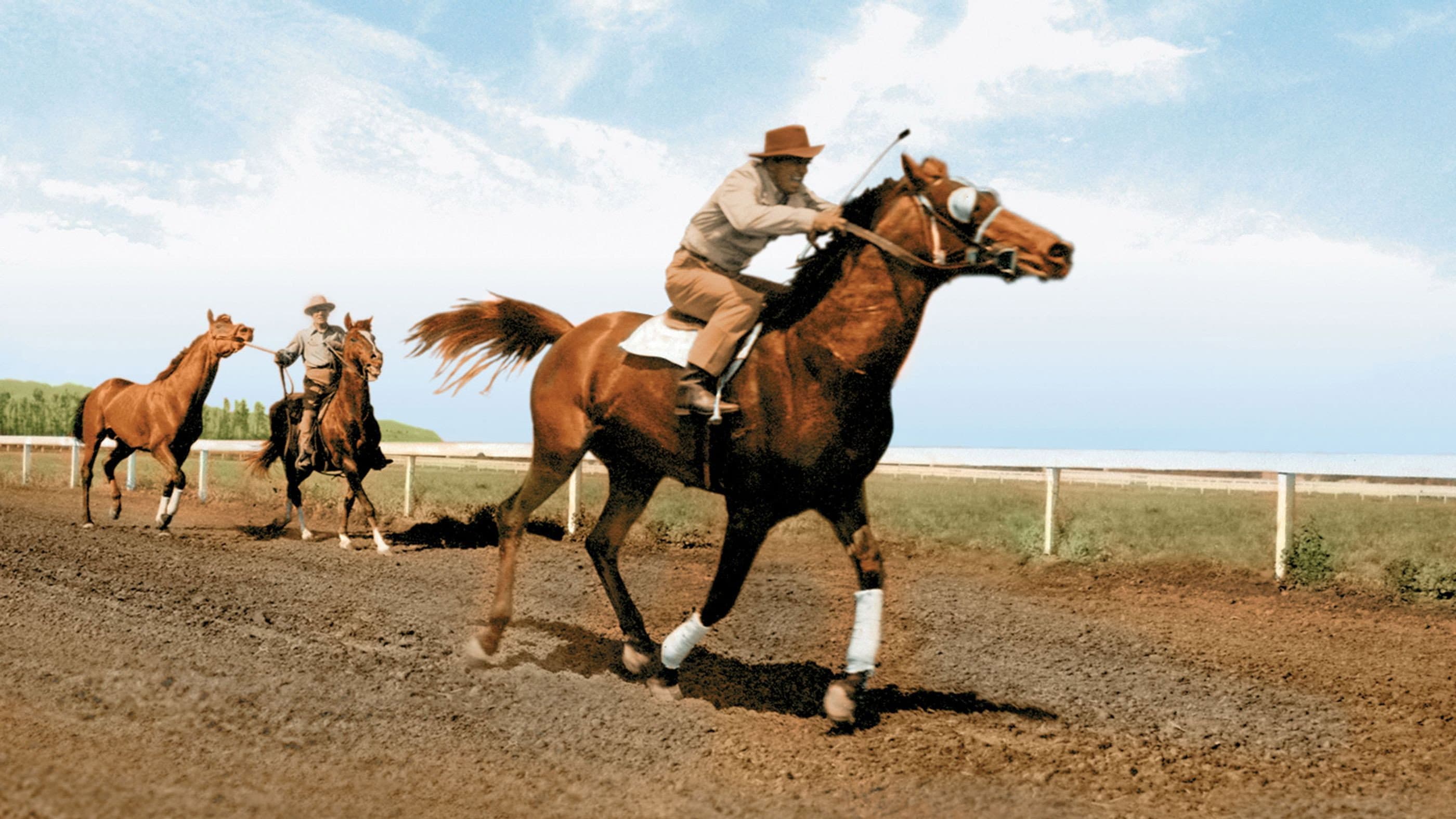 The Story of Seabiscuit - immagine