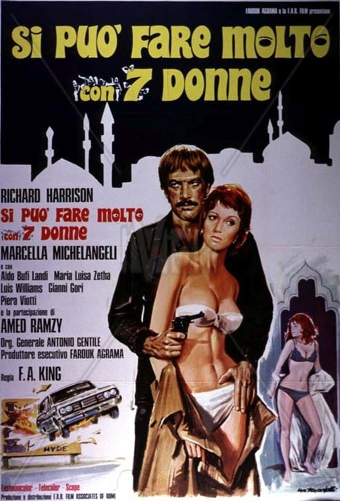 Poster di Si può fare molto con 7 donne