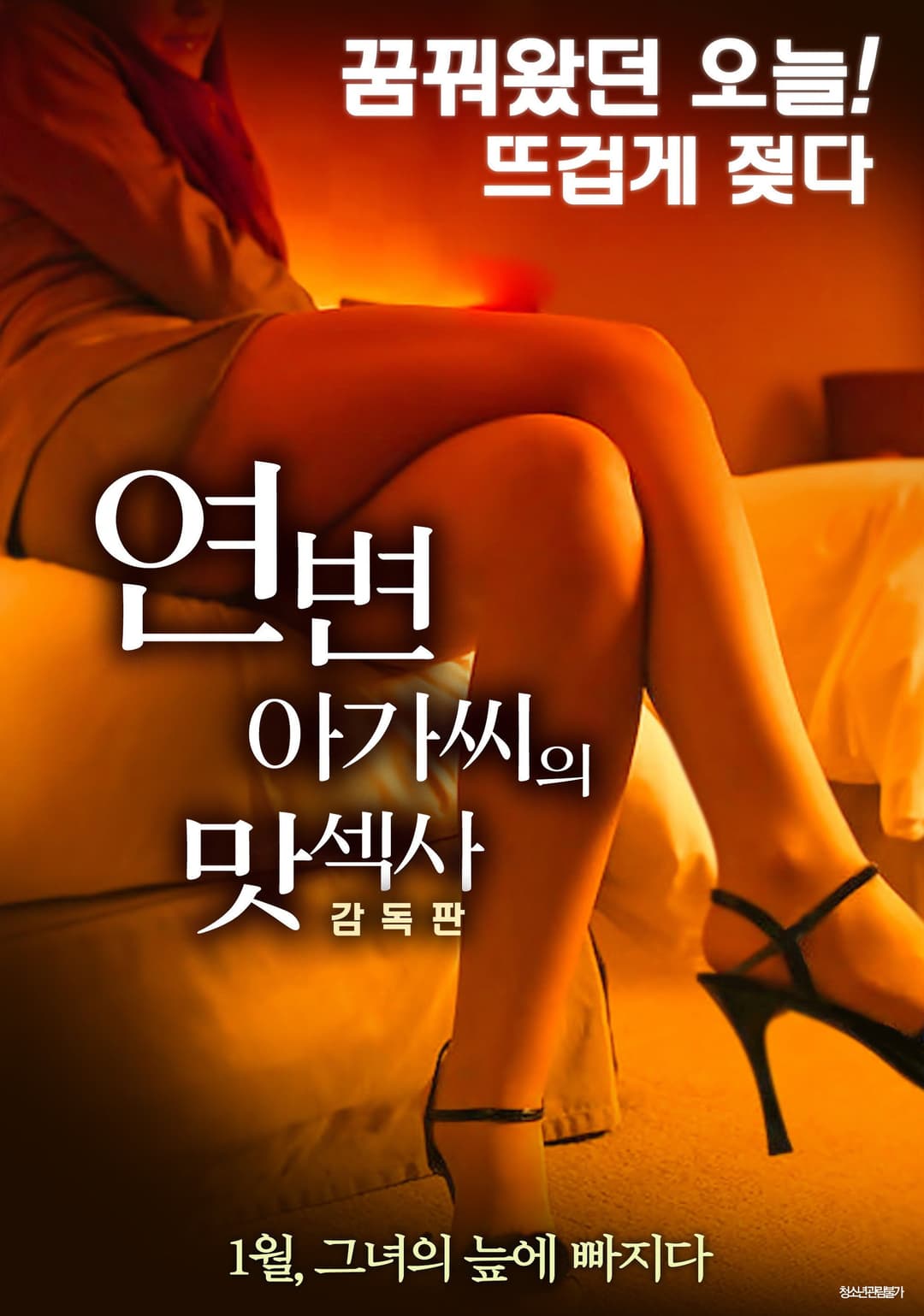 Poster di 연변 아가씨의 맛섹사