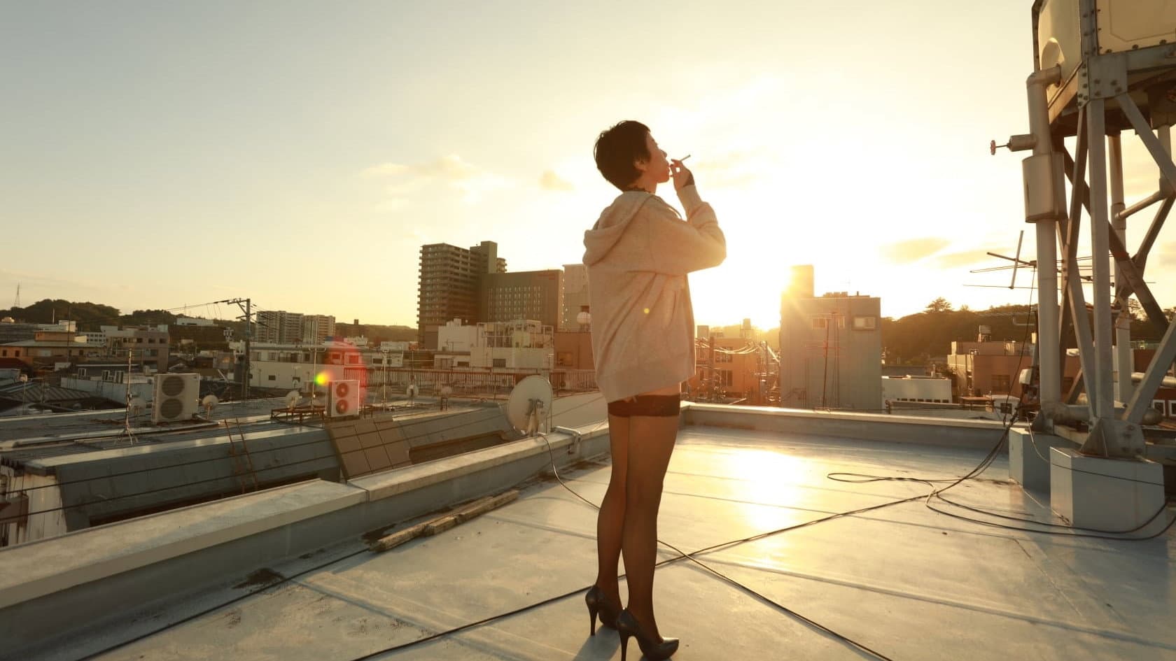 夕方のおともだち - immagine