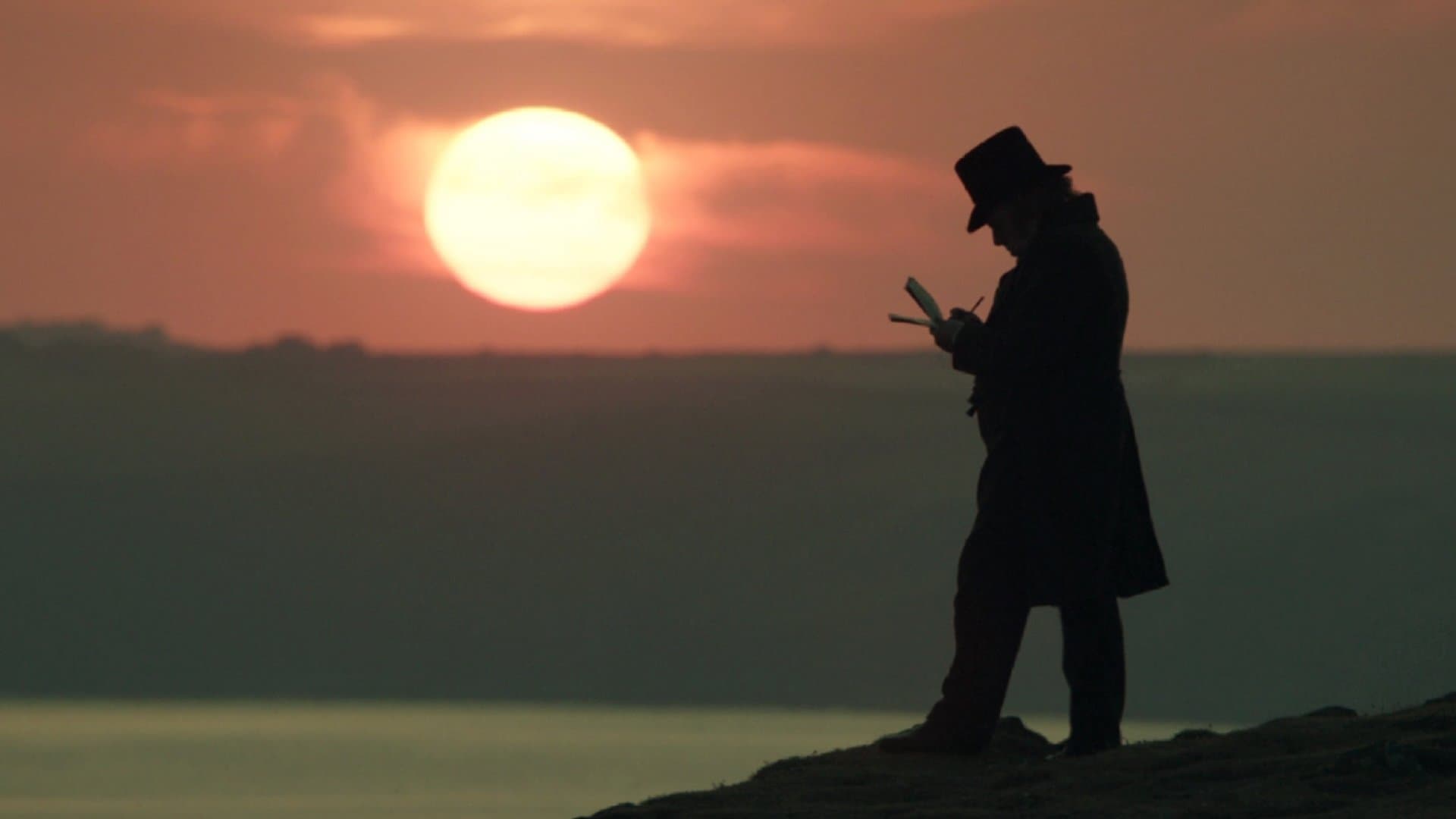 Turner - immagine