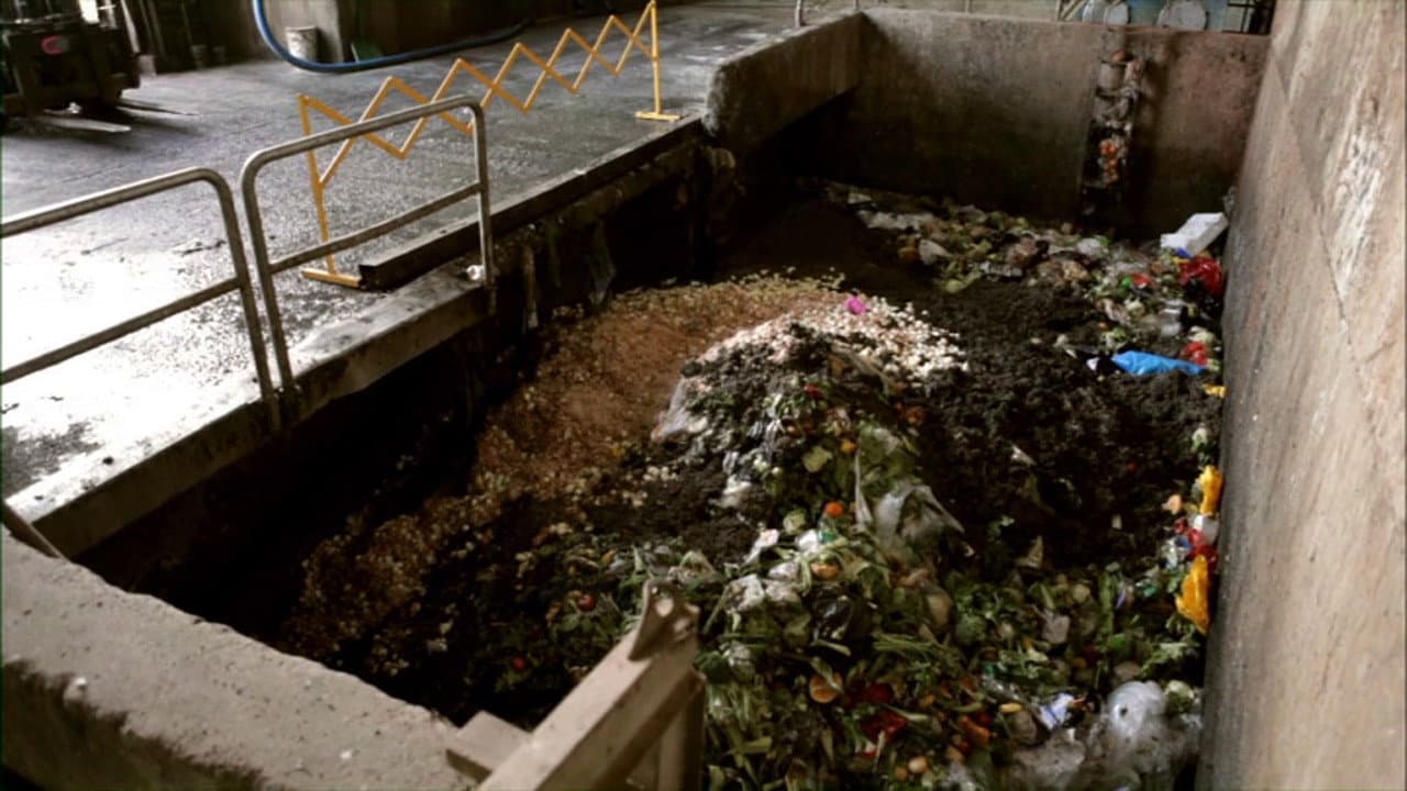 Waste Not - immagine