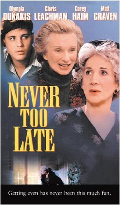 Poster di Never Too Late