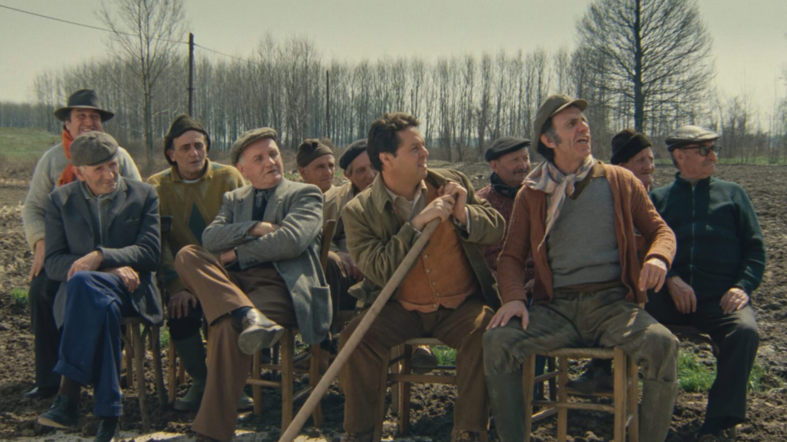 Il ragazzo di campagna - immagine