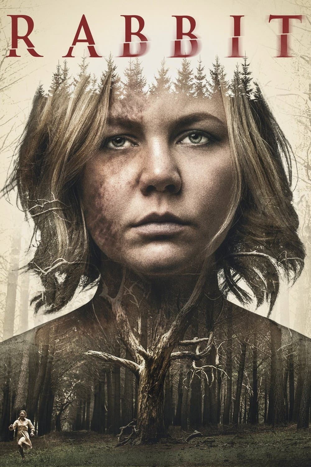 Poster di Rabbit