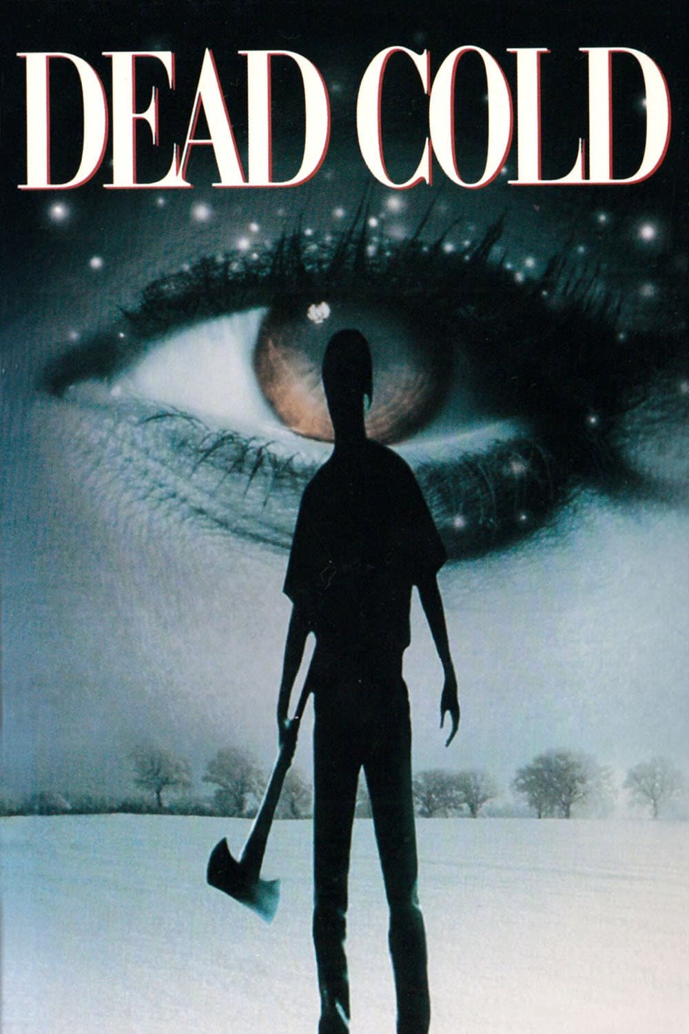 Poster di Dead Cold