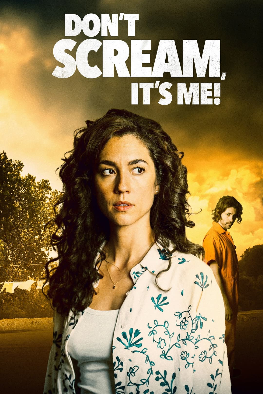 Poster di Don't Scream, It's Me!