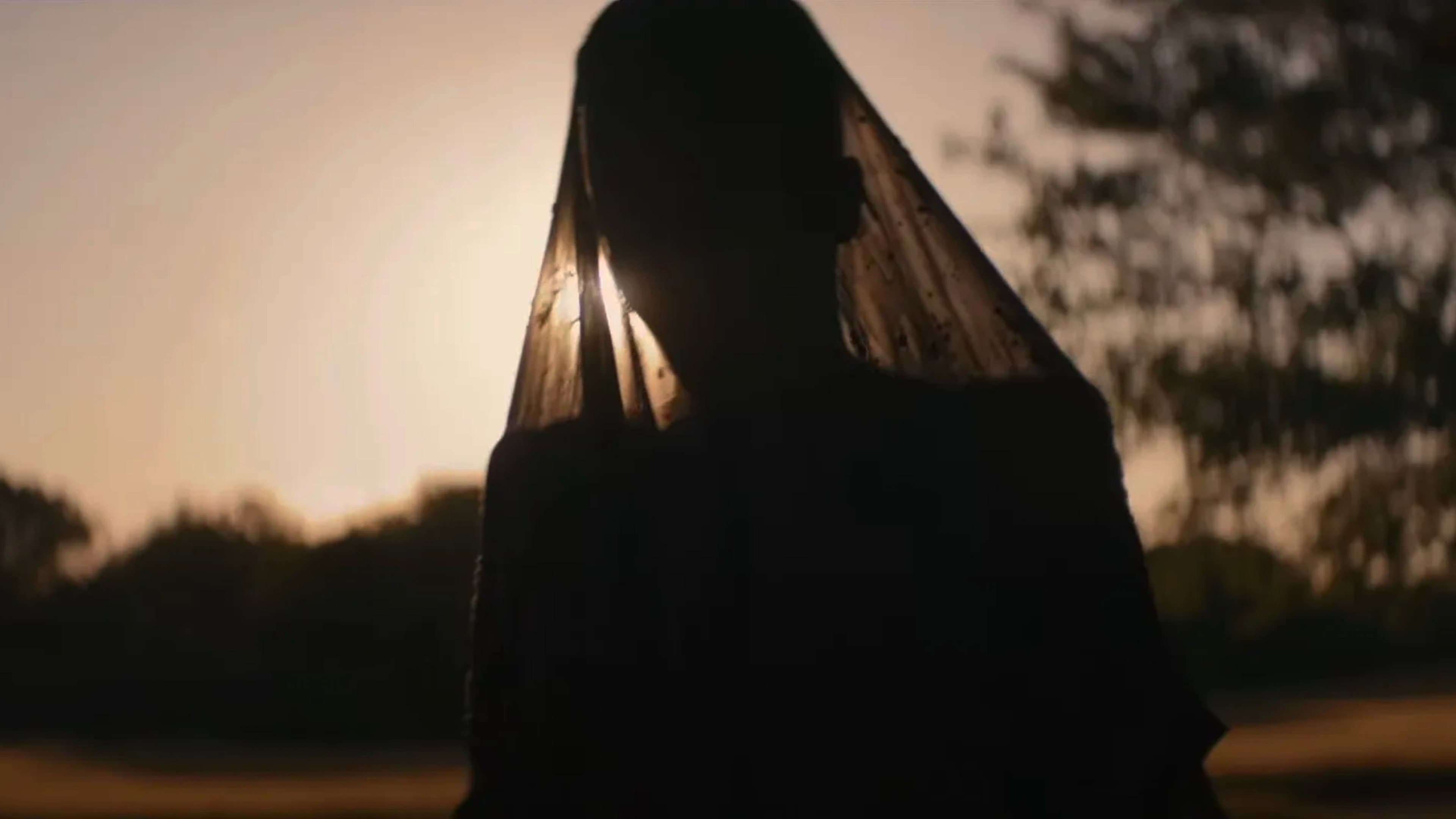 The Woman in the Yard - immagine