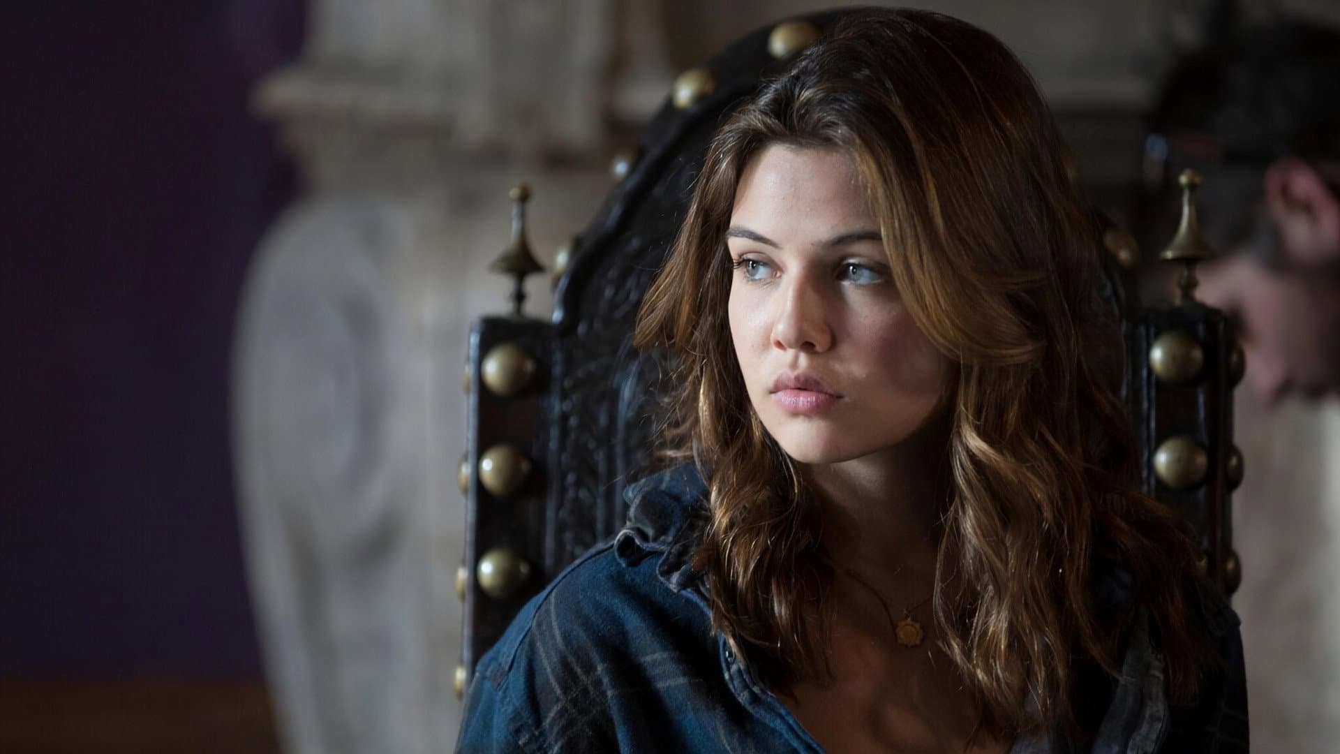 American Pets - immagine