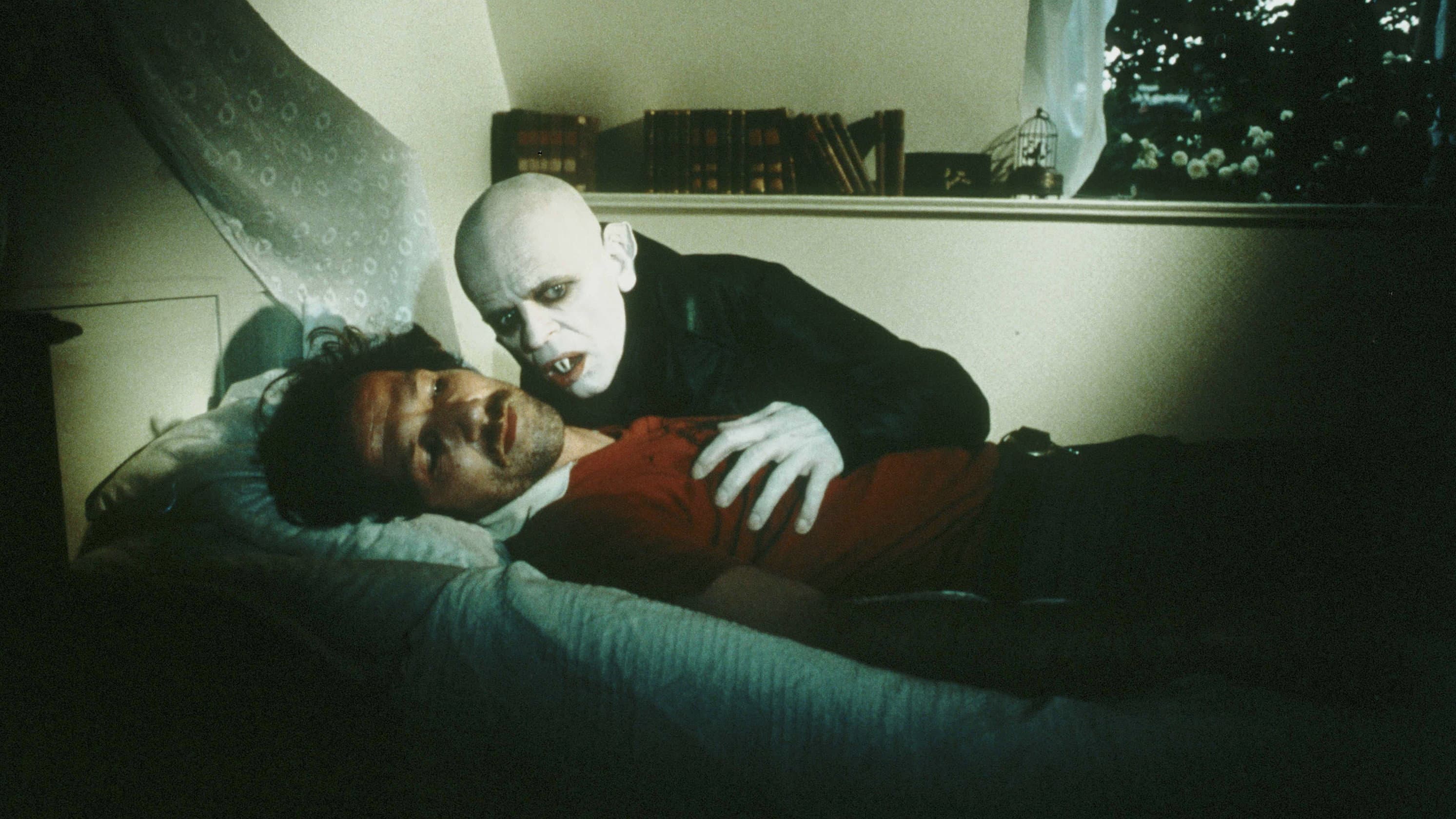 Kinski, il mio nemico più caro - immagine