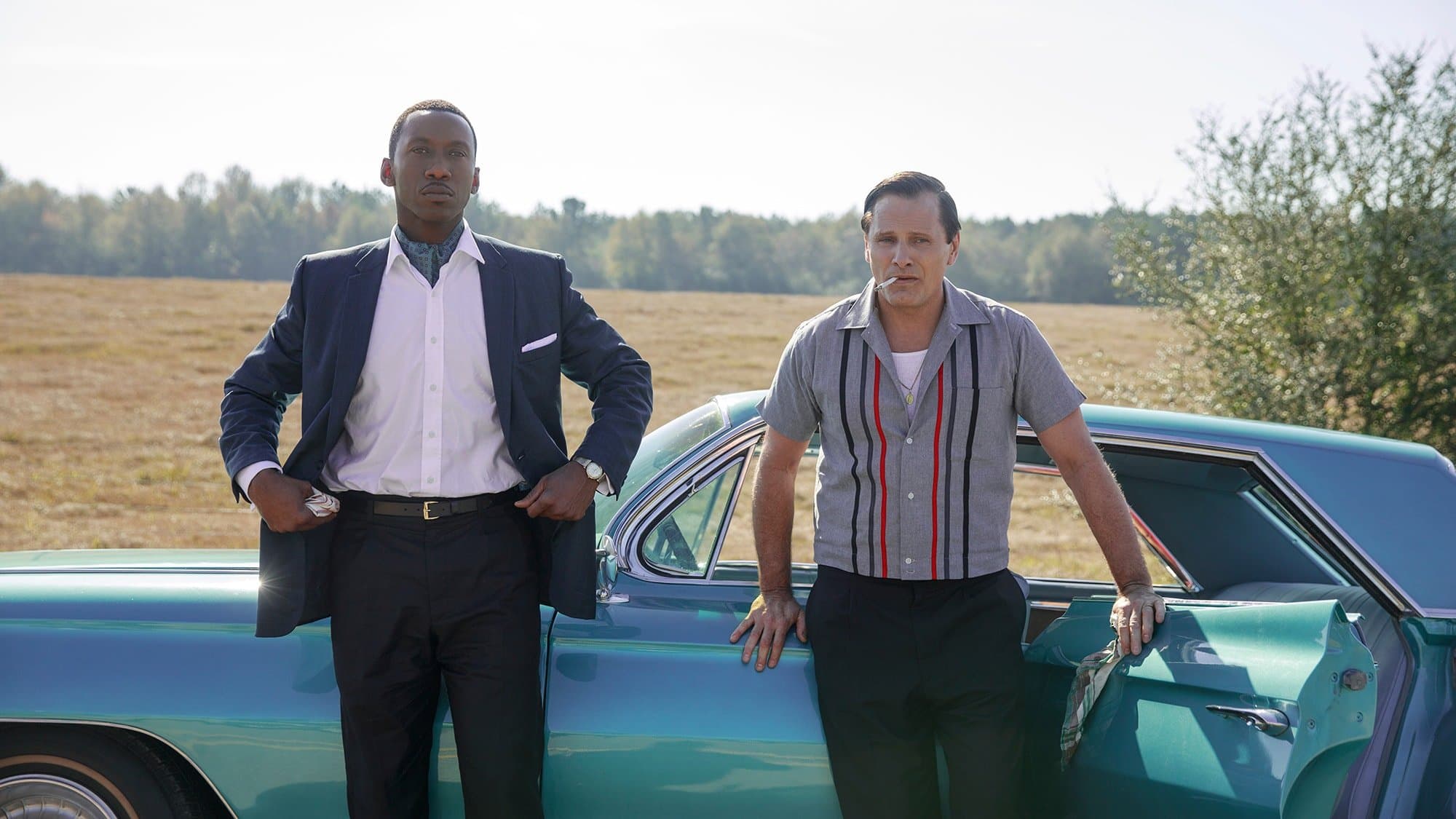Green Book - immagine