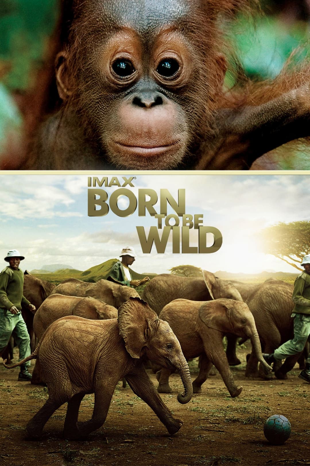 Poster di Born to Be Wild