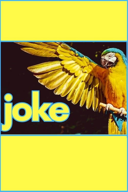 Poster di Joke