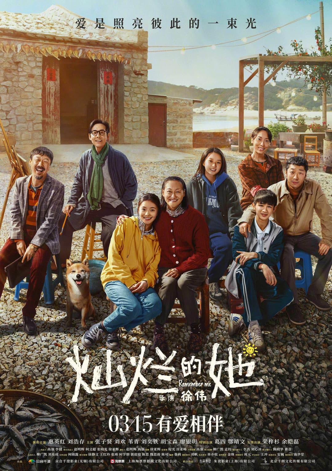 Poster di 灿烂的她