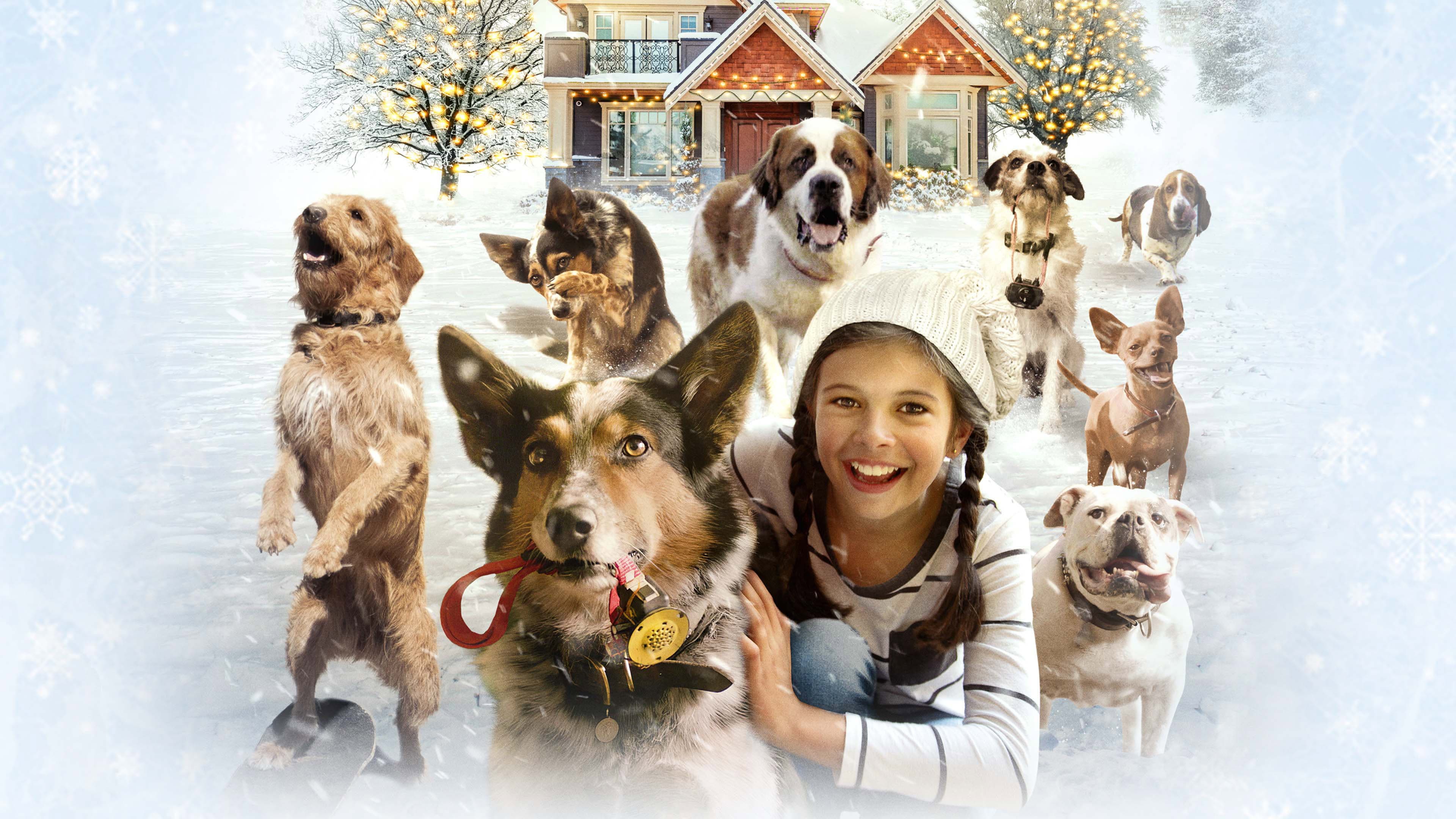 Pups Alone - immagine