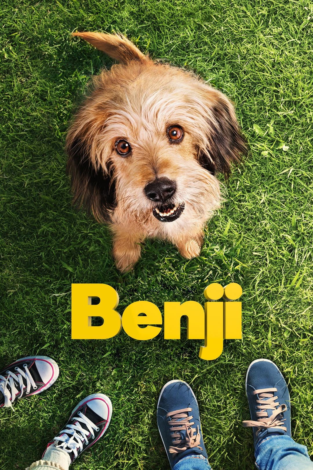 Poster di Benji