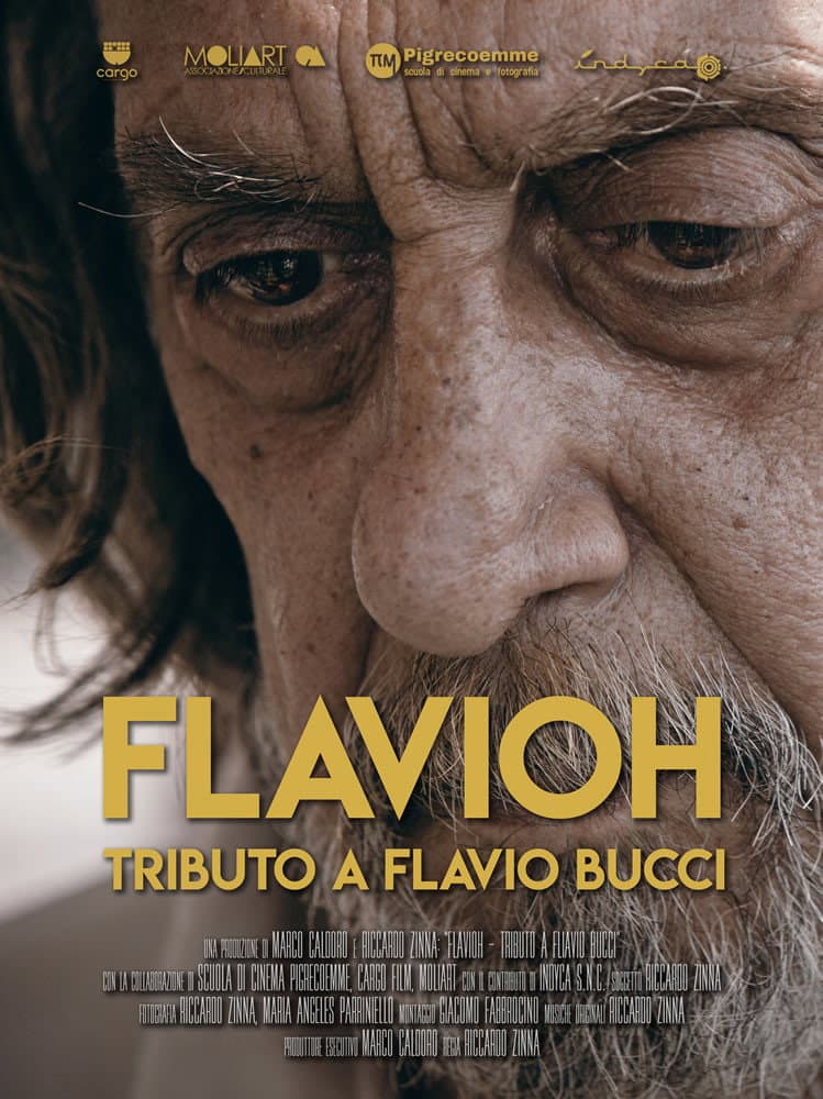 Poster di Flavioh - Tributo a Flavio Bucci