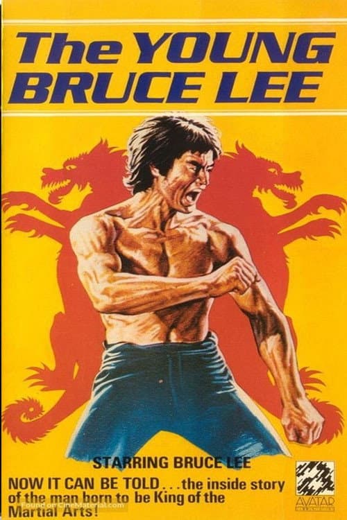 Poster di The Young Bruce Lee