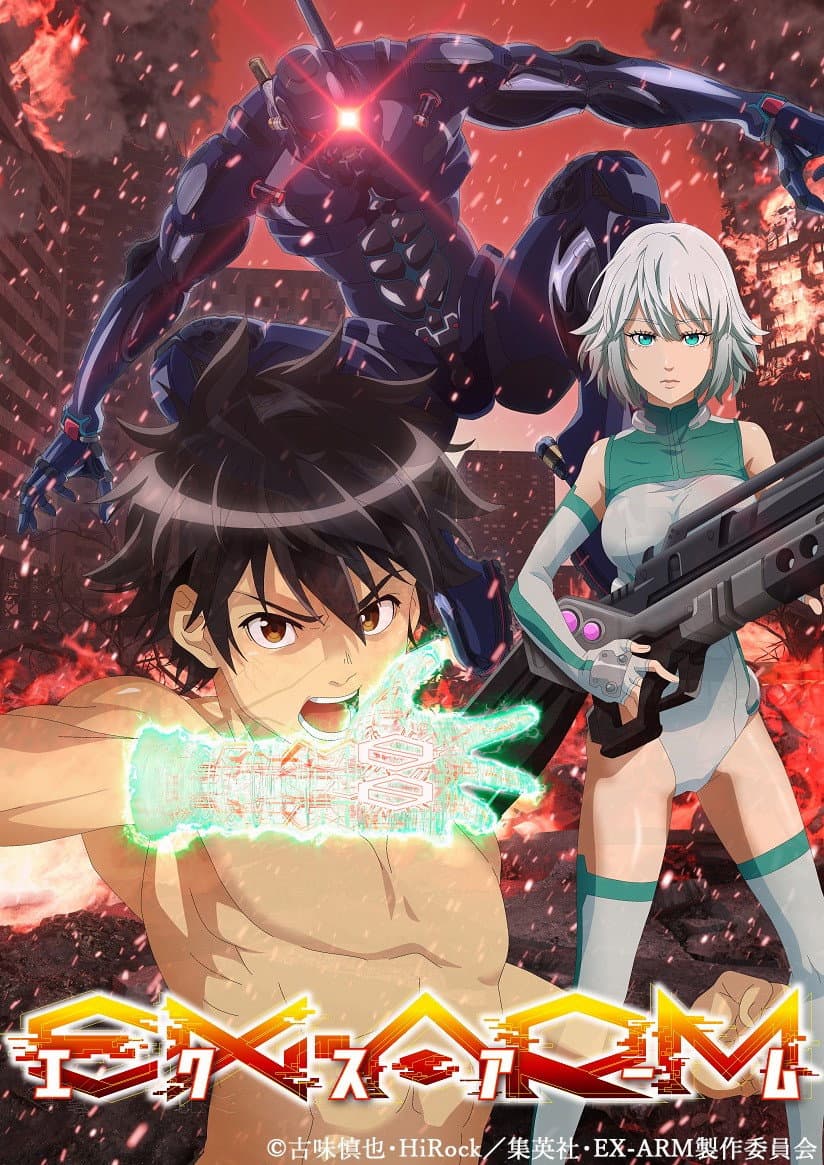 Poster di Ex-Arm