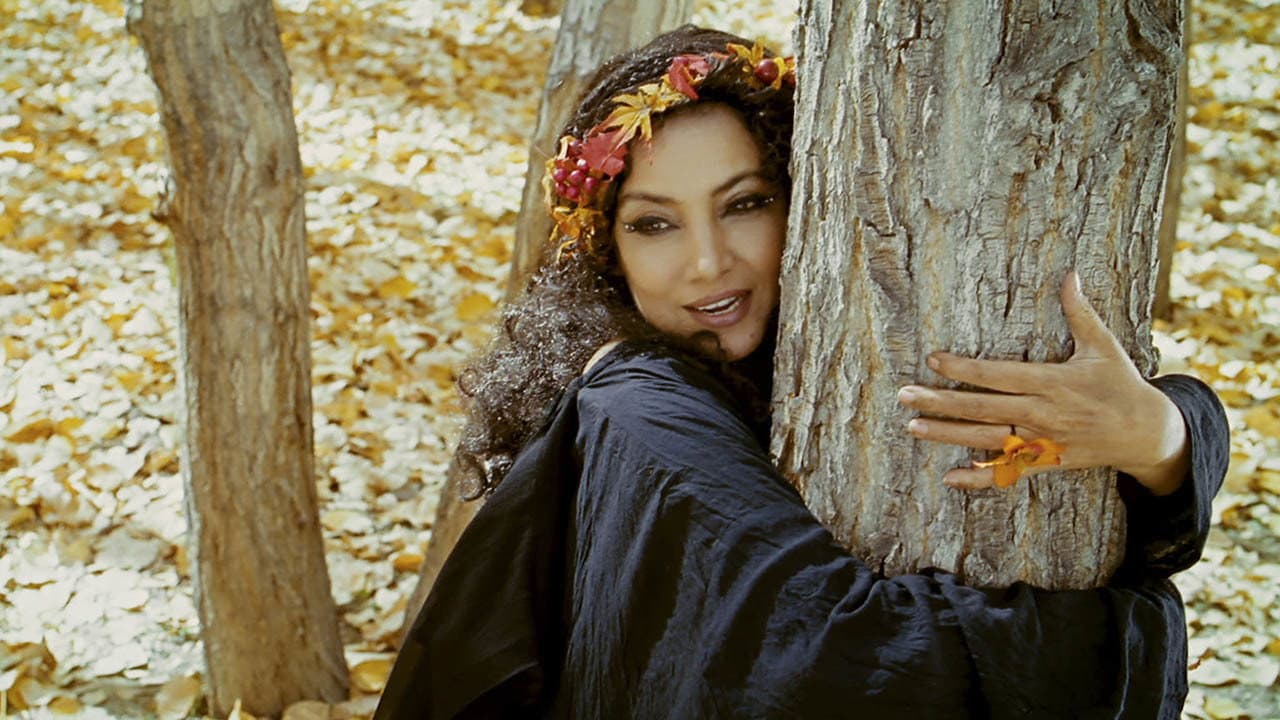 The Wishing Tree - immagine