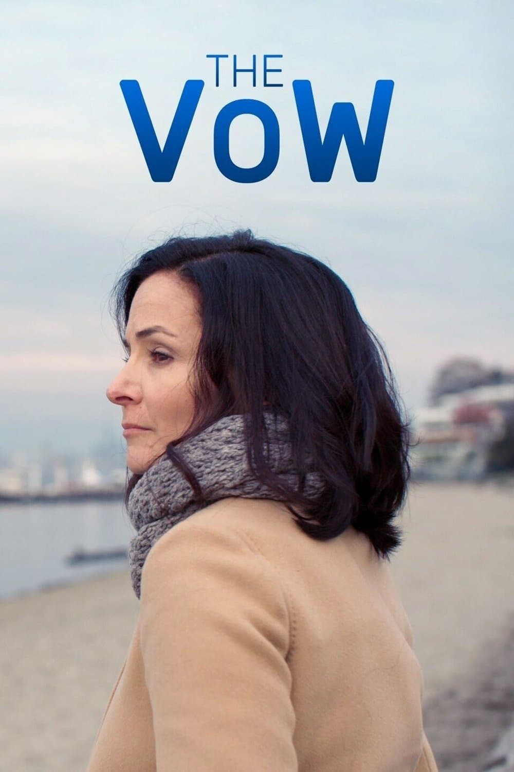 Poster di The Vow