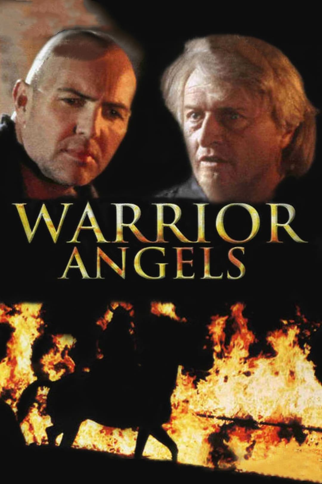Poster di Warriors angels - Lame scintillanti