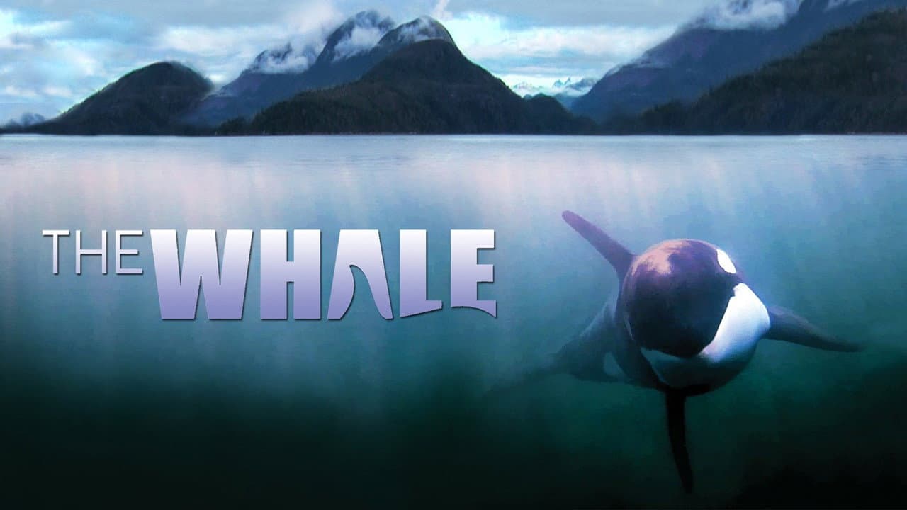 The Whale - immagine