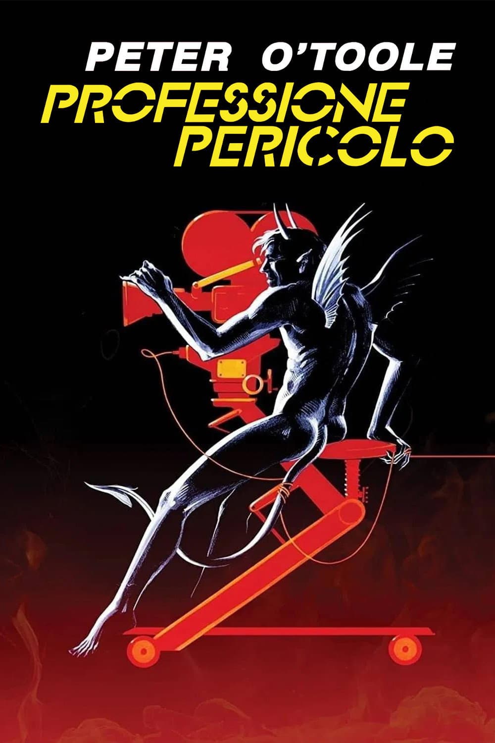Poster di Professione pericolo