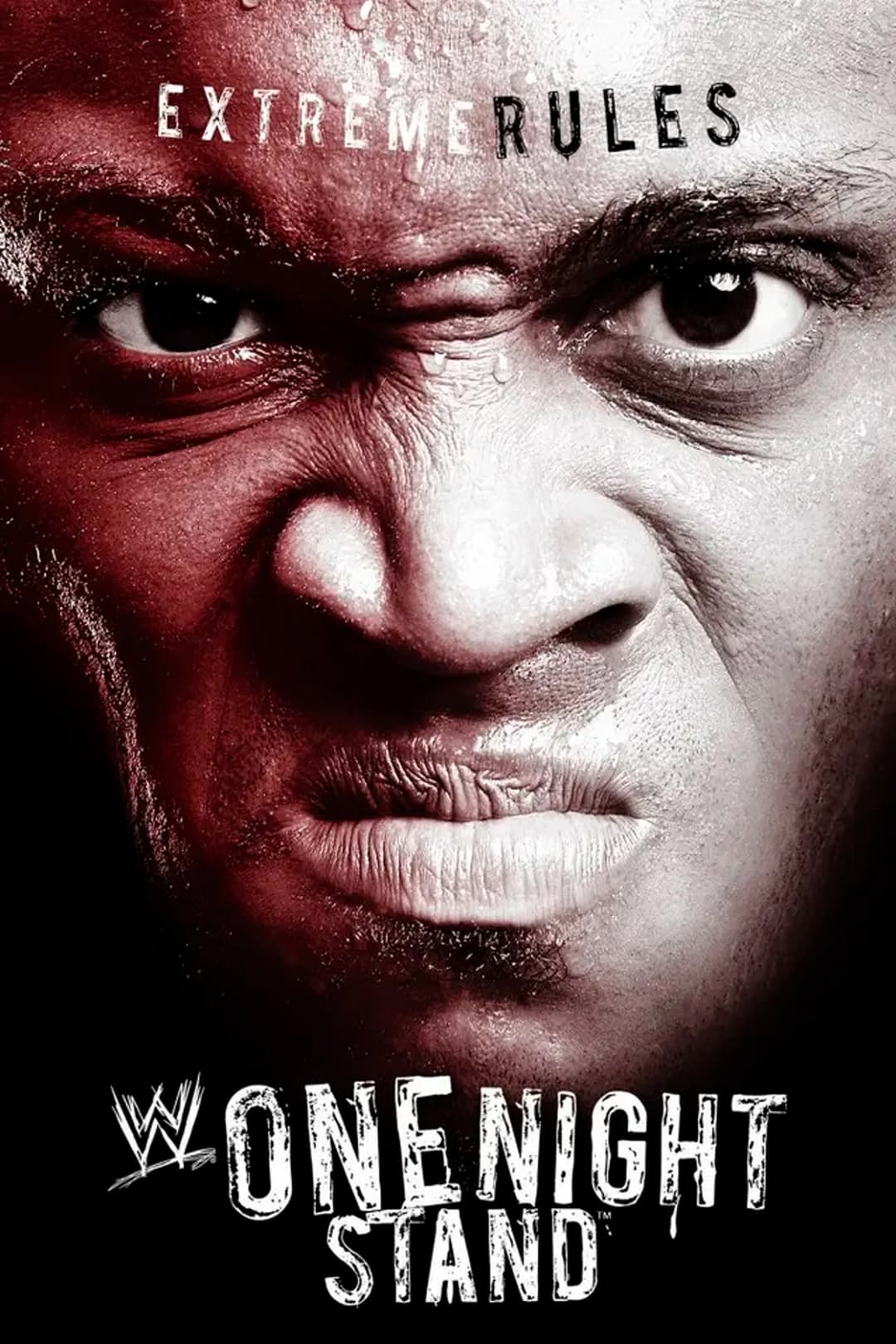Poster di WWE One Night Stand 2007